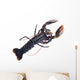 Lobster