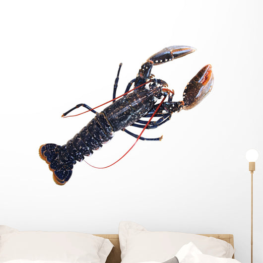 Lobster