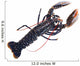 Lobster
