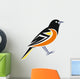 Baltimore Oriole Wall Decal