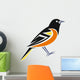 Baltimore Oriole Wall Decal