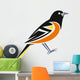 Baltimore Oriole Wall Decal