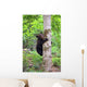 Little Bear Wall Mural