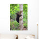 Little Bear Wall Mural
