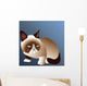 Grumpy Cat