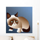Grumpy Cat