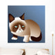 Grumpy Cat