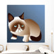 Grumpy Cat