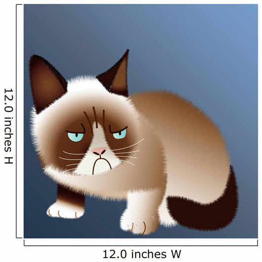 Grumpy Cat