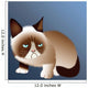 Grumpy Cat