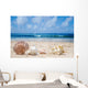 Seashells Beach