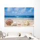 Seashells Beach