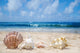 Seashells Beach