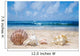 Seashells Beach