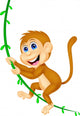 Cute Monkey Swinging