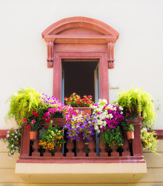 Balcone in fiore Wall Mural