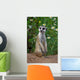 Looking meercat Wall Mural