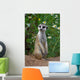 Looking meercat Wall Mural