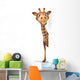 Fun Giraffe