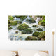 Waterfall up Forest with