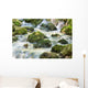 Waterfall up Forest with