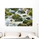 Waterfall up Forest with