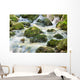 Waterfall up Forest with