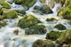Waterfall up Forest with