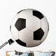 Football (soccer) Ball Wall Decal