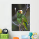 Yellow Lored Parrot Amazona