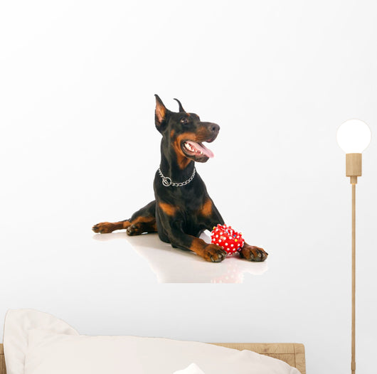 Great Doberman Dog with Favorite Toy Wall Decal