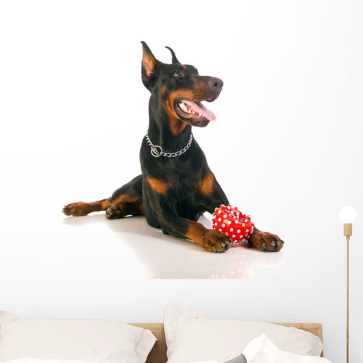 Great Doberman Dog with Favorite Toy Wall Decal