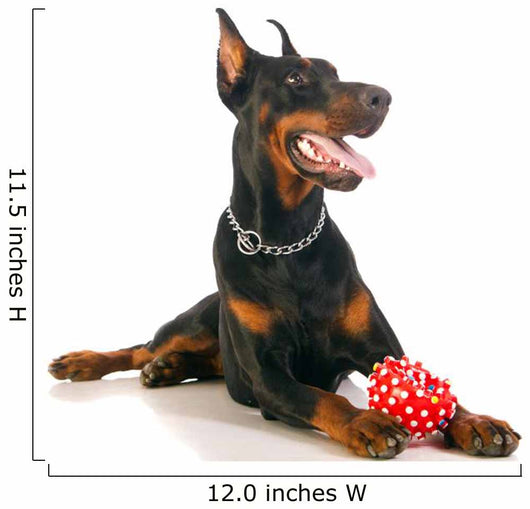 Great Doberman Dog with Favorite Toy Wall Decal