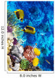 Coral and Fish Red