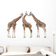 Giraffes White