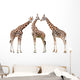 Giraffes White