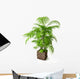 Palm Tree 3D