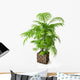 Palm Tree 3D