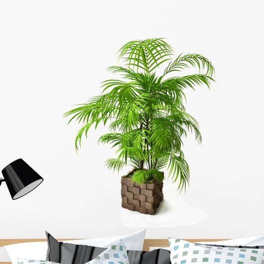 Palm Tree 3D