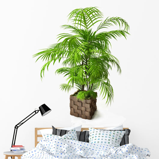 Palm Tree 3D
