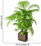 Palm Tree 3D