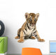 baby bengal tiger Wall Decal