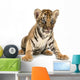 baby bengal tiger Wall Decal