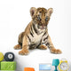 baby bengal tiger Wall Decal