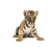 baby bengal tiger Wall Decal