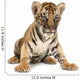 baby bengal tiger Wall Decal