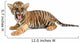 Baby Bengal Tiger