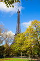 Eiffel Tower at autumn, France Wall Mural