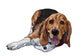 Lying Beagle Wall Decal
