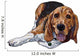 Lying Beagle Wall Decal